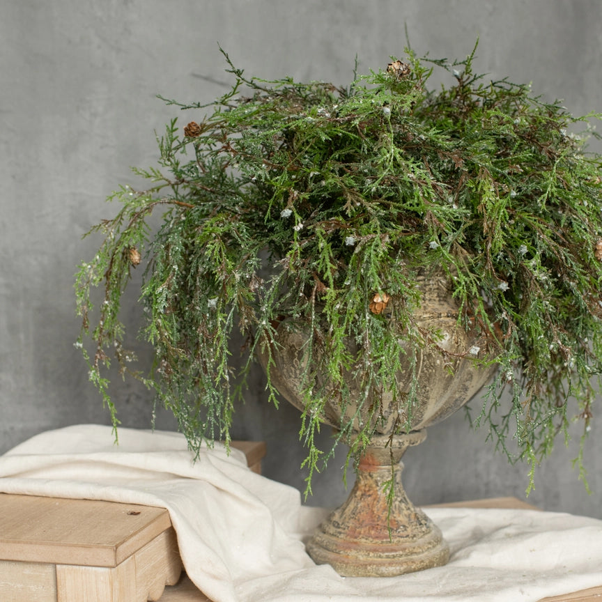 Weeping Cedar Spray with Snow