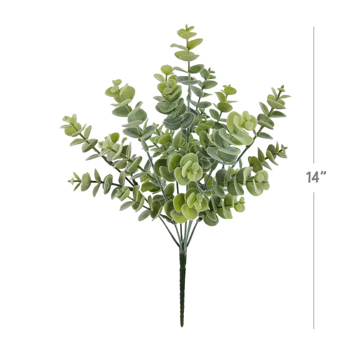 Blue Eucalyptus Stem | 14"