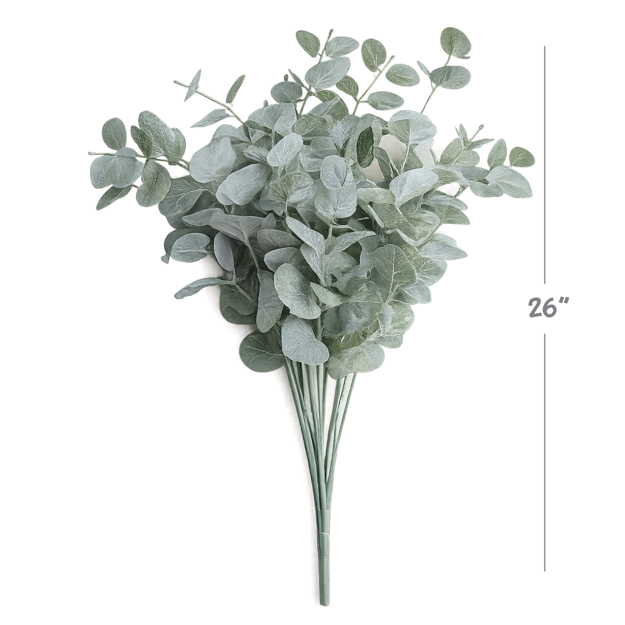 Silvery Green Eucalyptus Spray | 26"