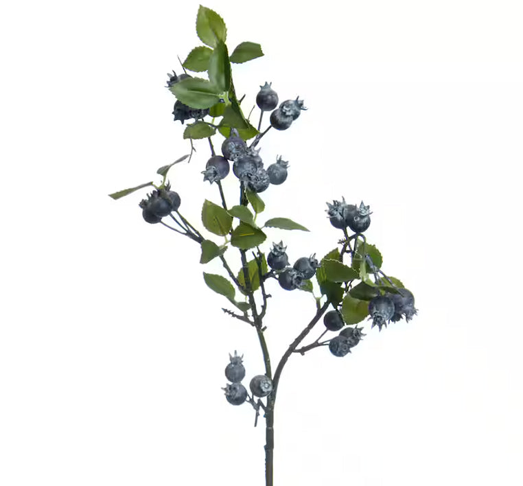 Blueberry Stem | 30"