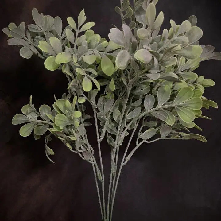 Soft Green Accent Spray