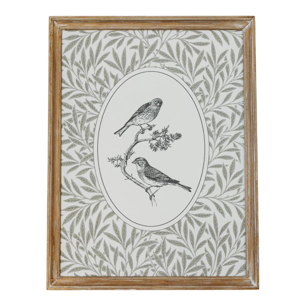 Avian Study I | 12x15 Framed Art
