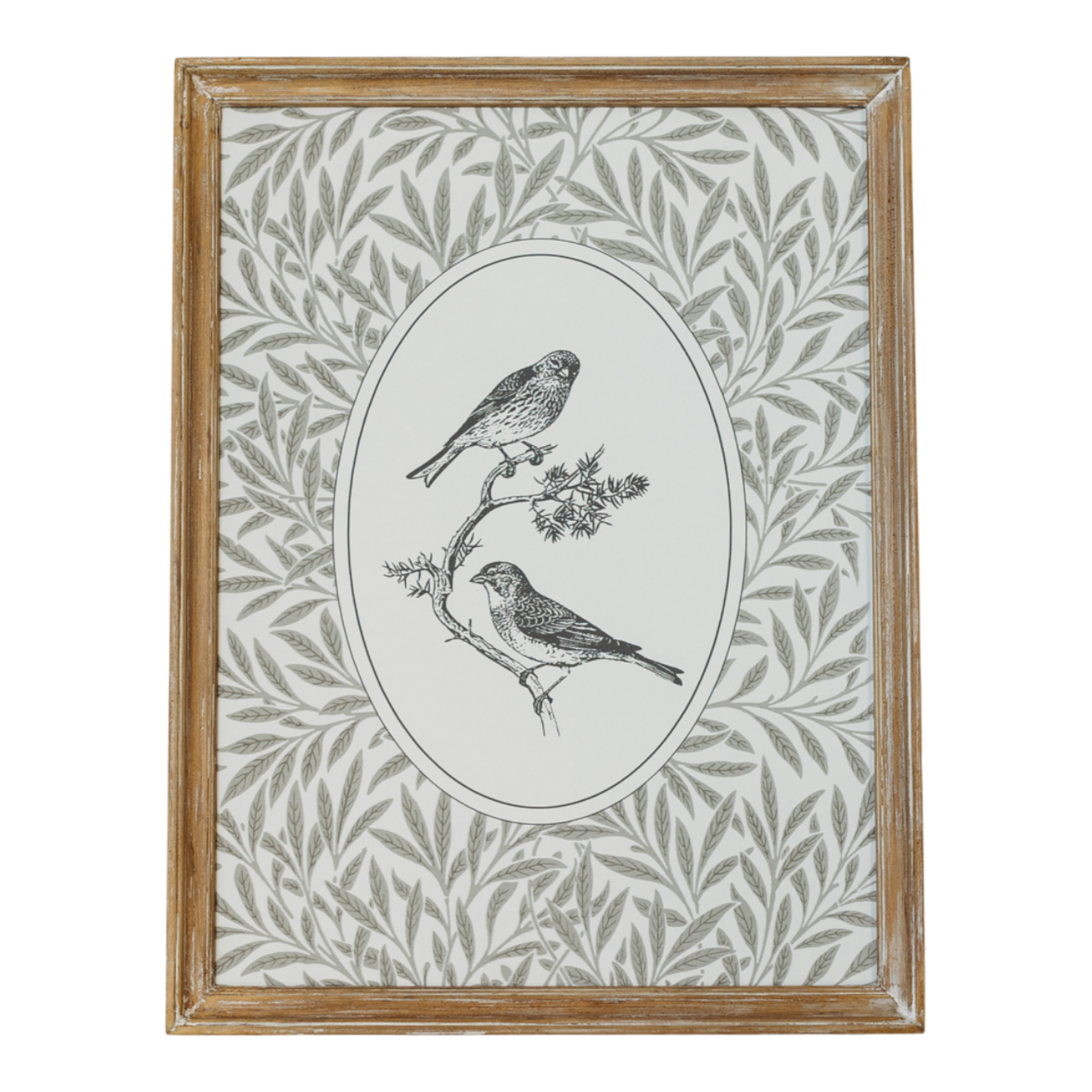 Avian Study I | 12x15 Framed Art