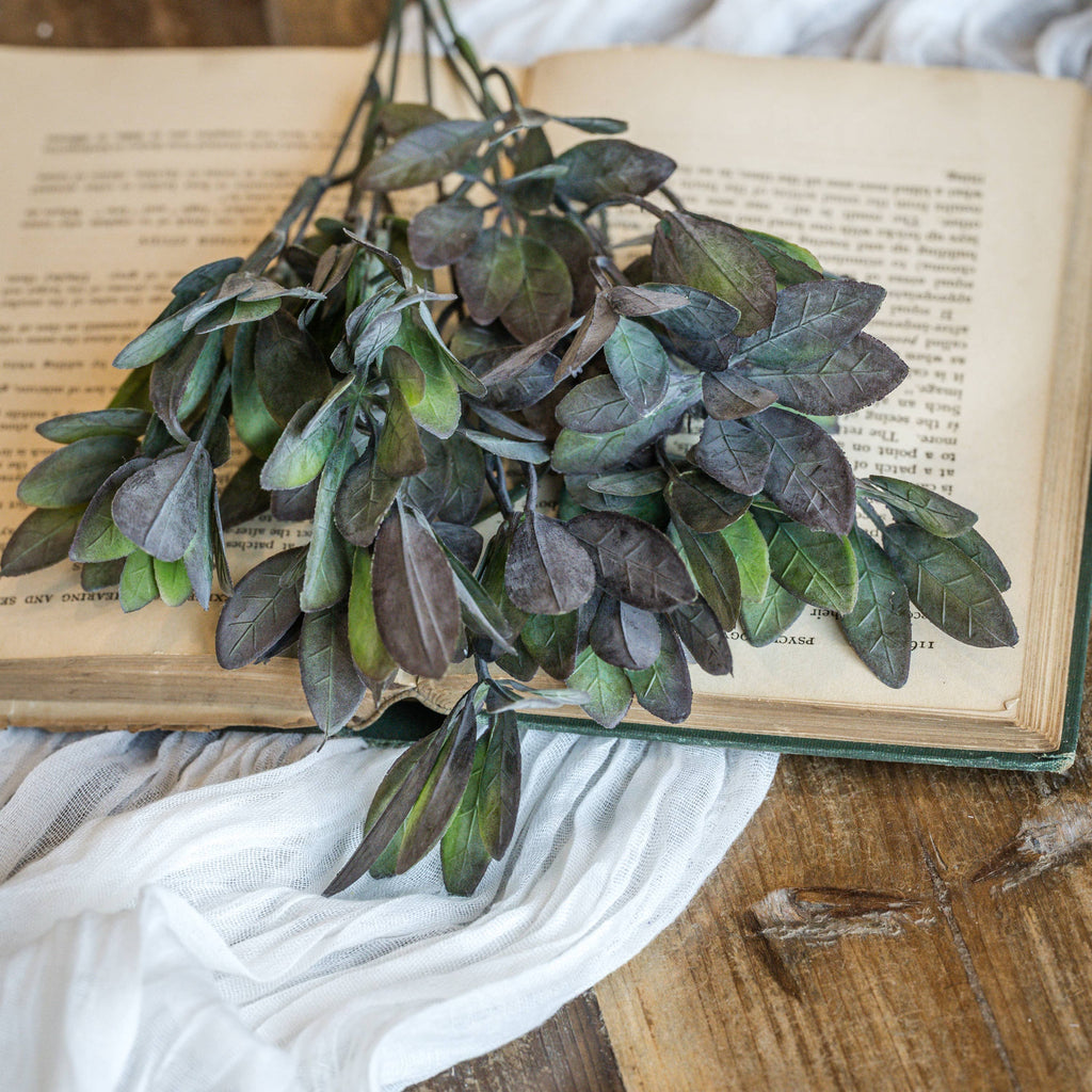 Plum-Tipped Leaf Bush | 13"