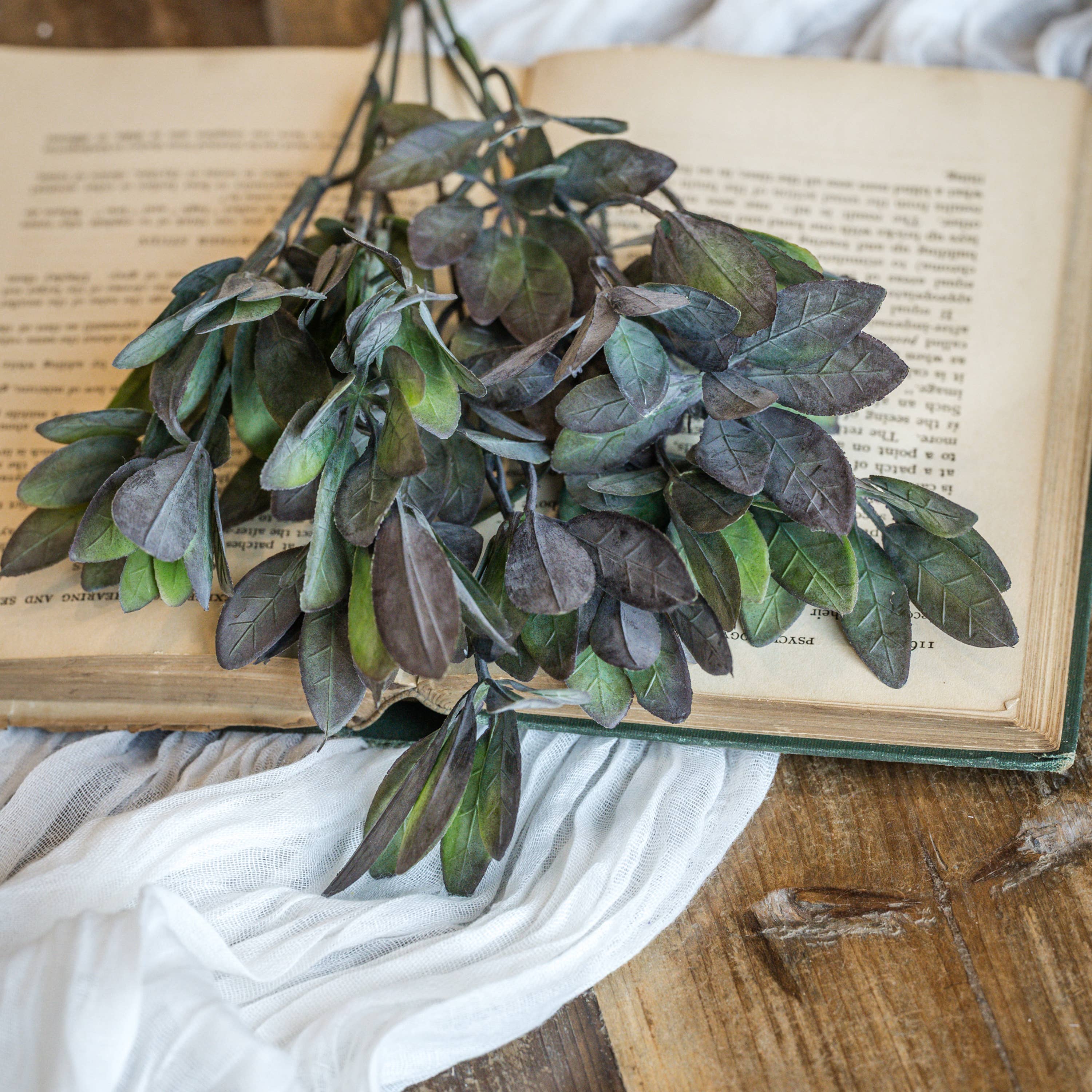 Plum-Tipped Leaf Bush | 13"