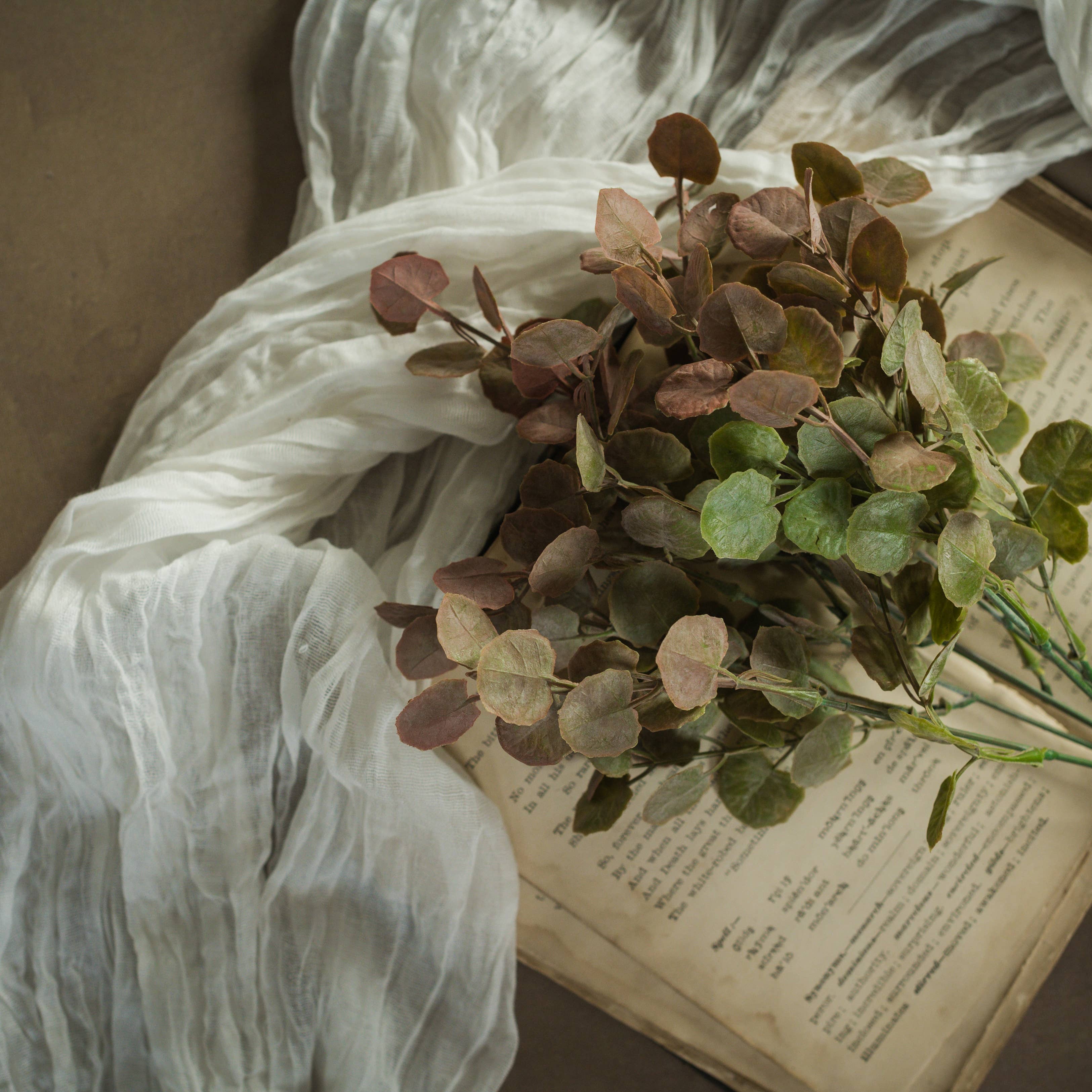 Dusty Meadow Poplar Bush | 14.5"