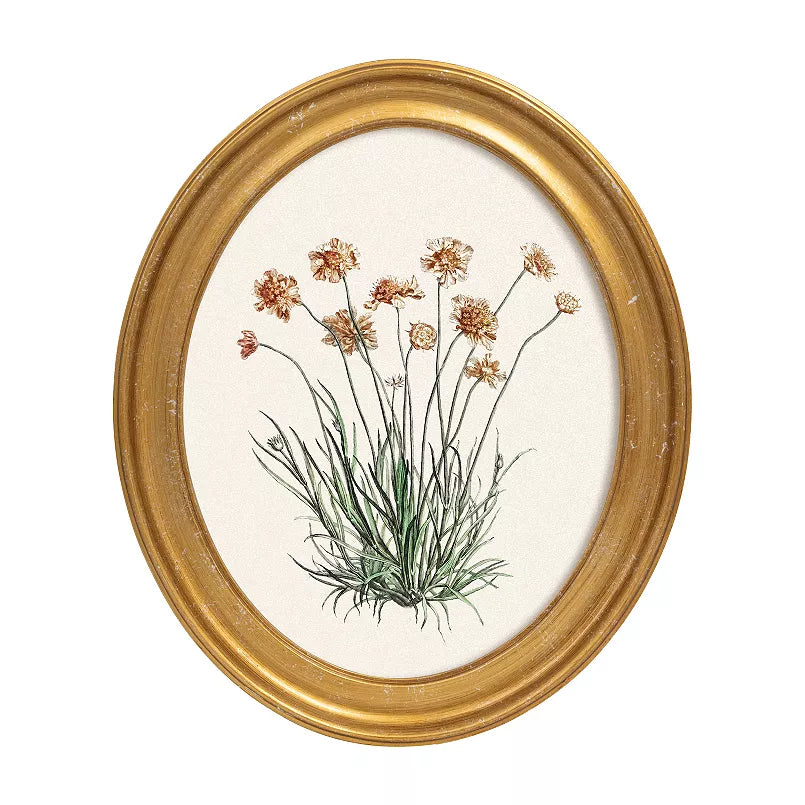 Oval Framed Wildflower Botanical Print | 10x12