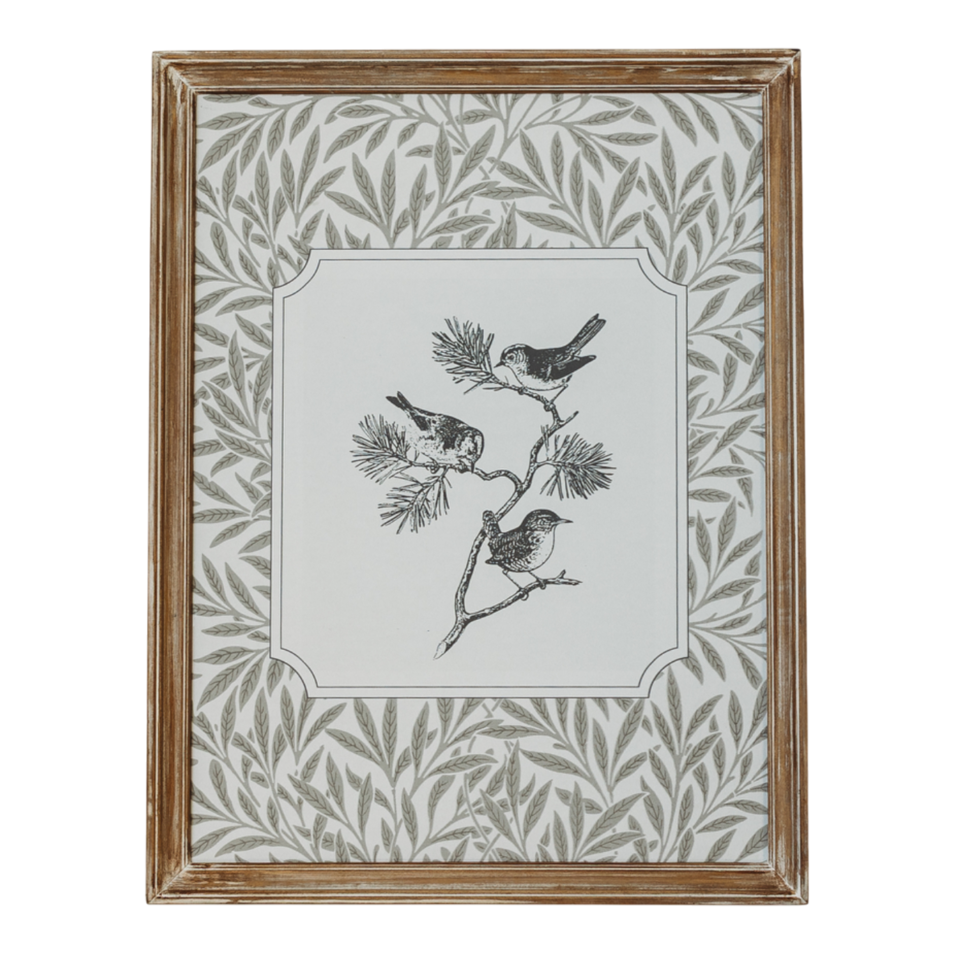 Avian Study II | 12x15 Framed Art