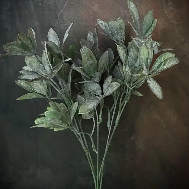 Blue Sage Leaf Spray