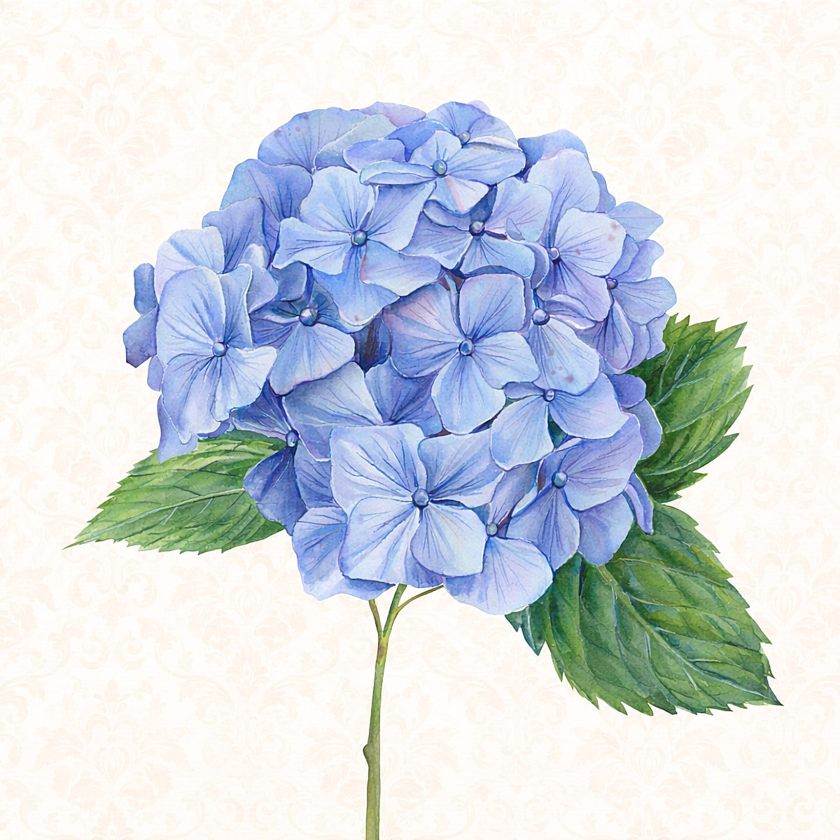 Provence Blue Hydrangea Framed Print
