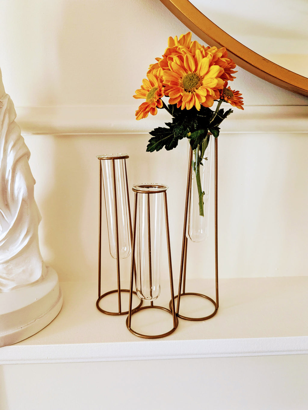 Daphne Test Tube Flower Vase
