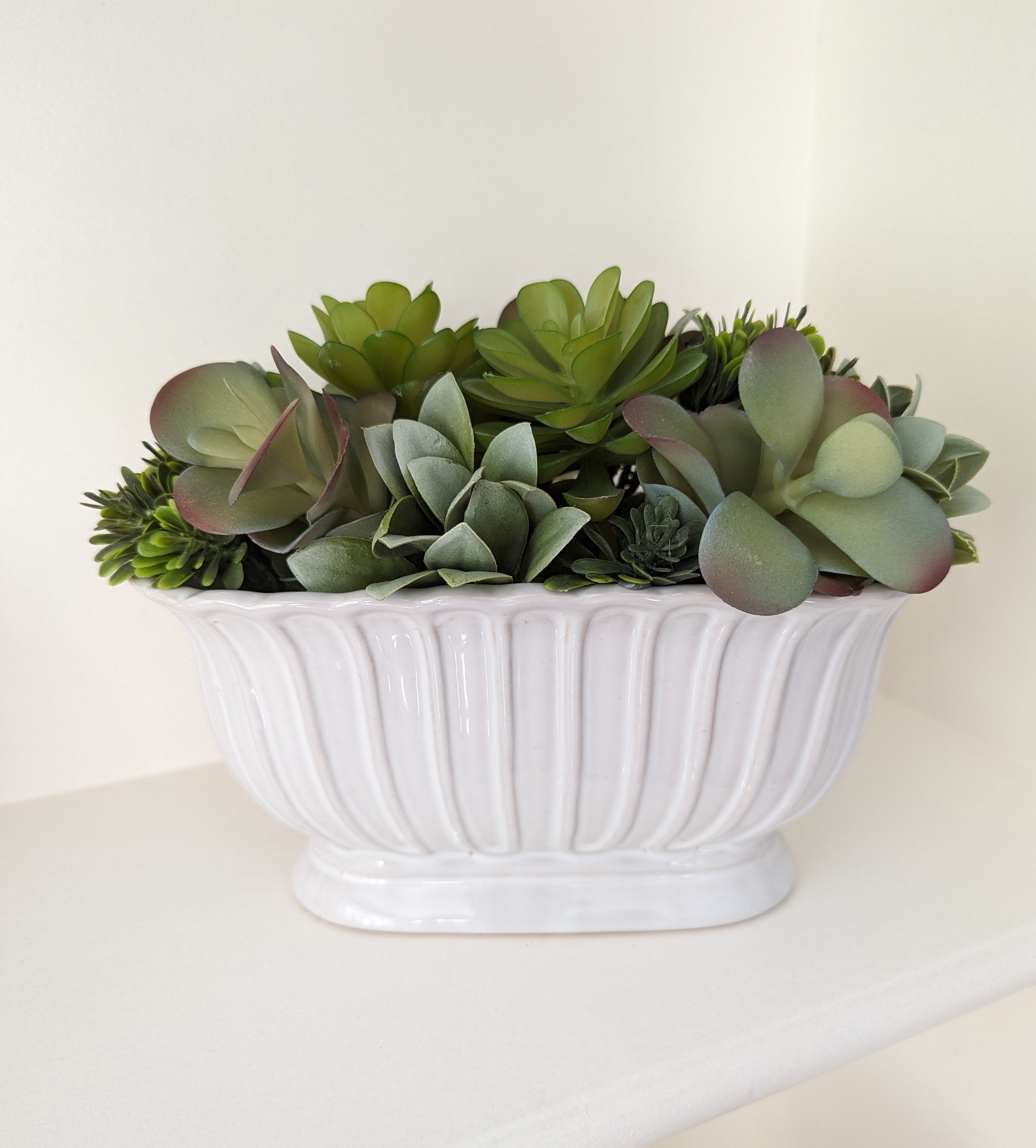 Verdant Succulent Arrangement