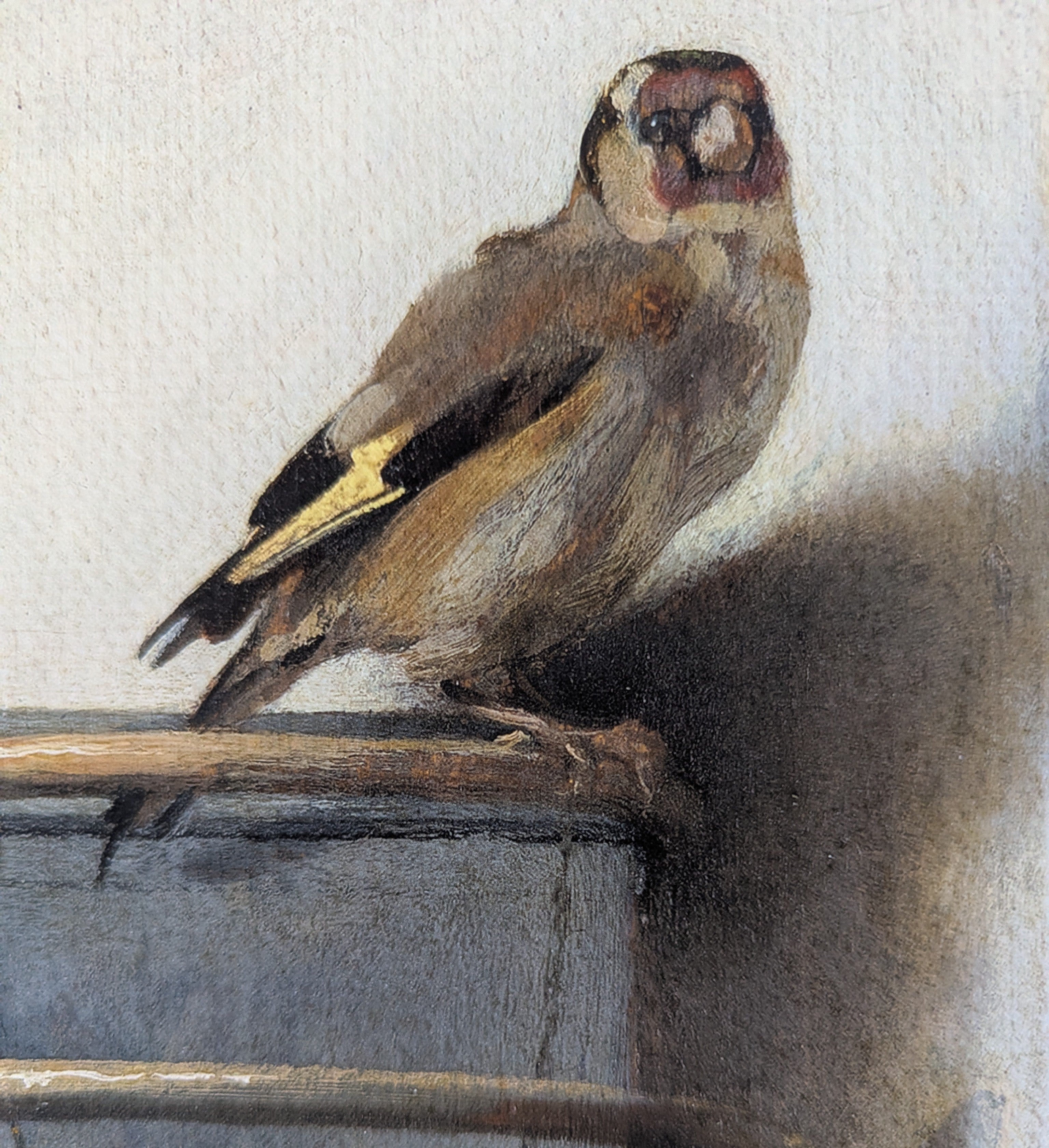 Quiet Perch framed art print 11x14 featuring bird on vintage box in soft neutral tones