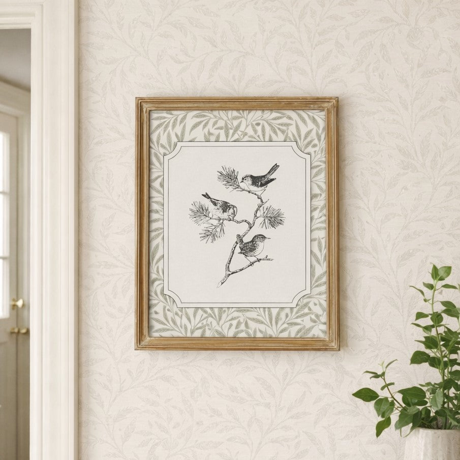 Avian Study II | 12x15 Framed Art