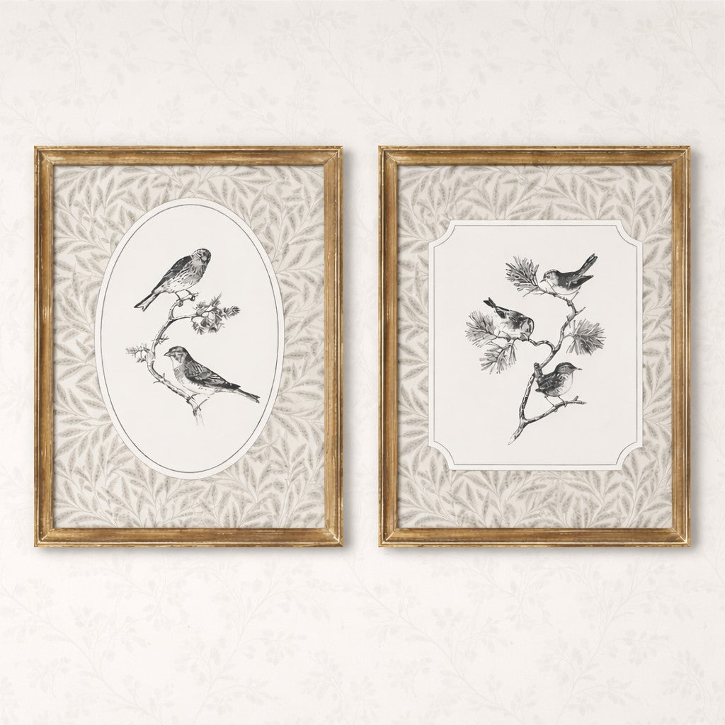 Avian Study II | 12x15 Framed Art