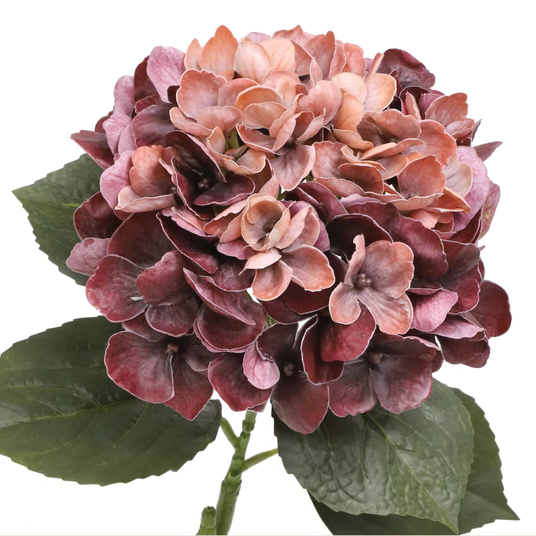 An artificial hydrangea flower with a dense cluster of dusty rose and deep burgundy petals, accompanied by dark green leaves on a white background.