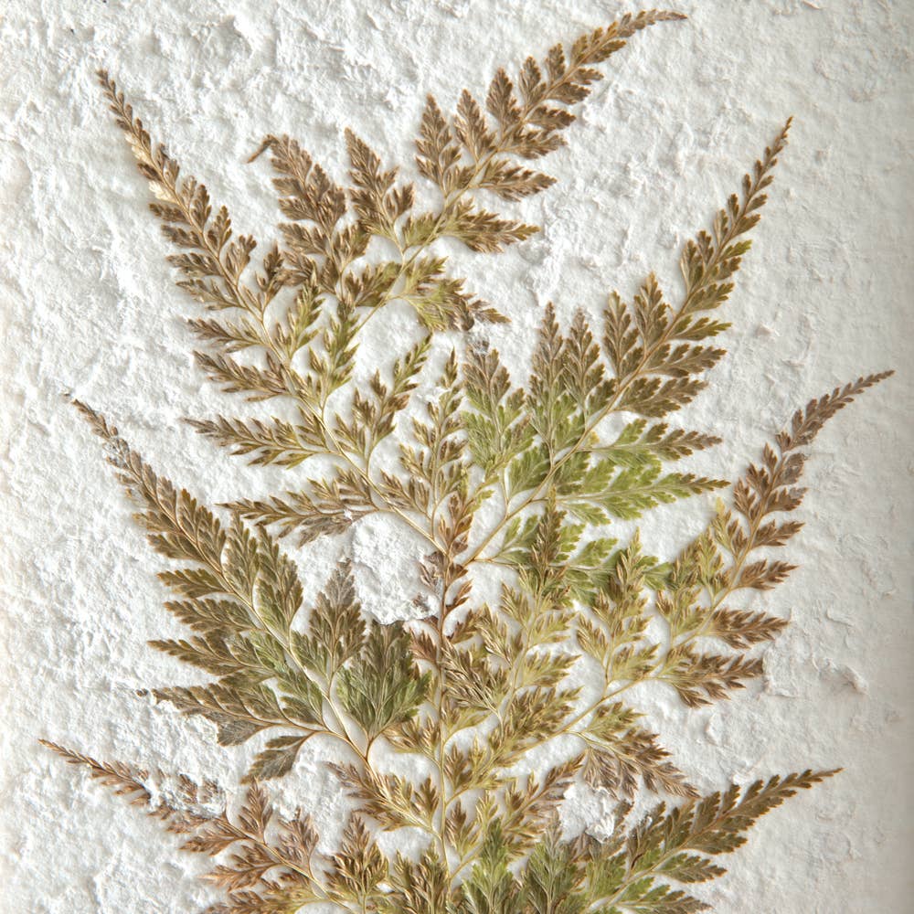 Fern Study on Stand