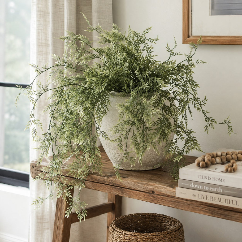 Draping Ficus Bush | 35"