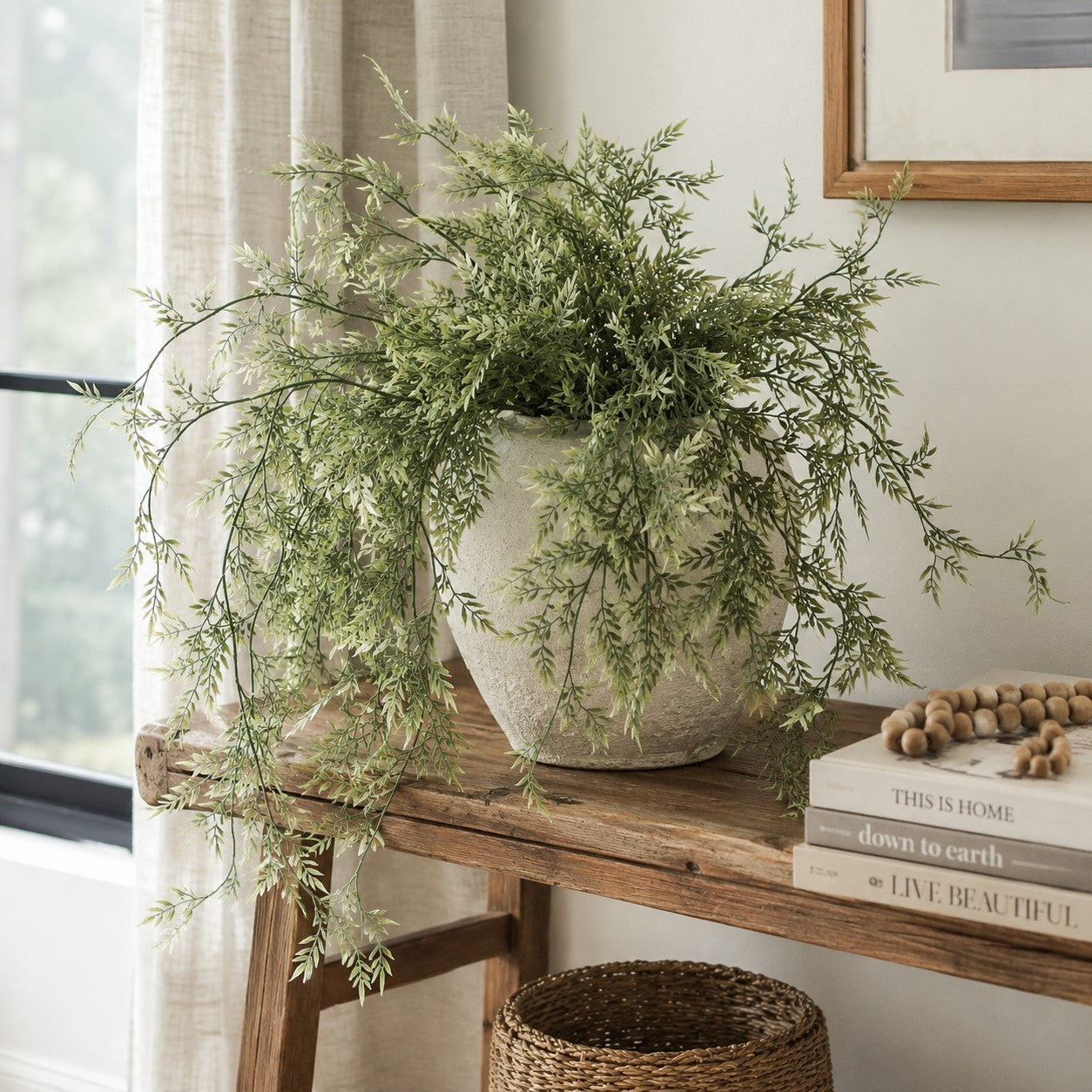 Draping Ficus Bush | 35"