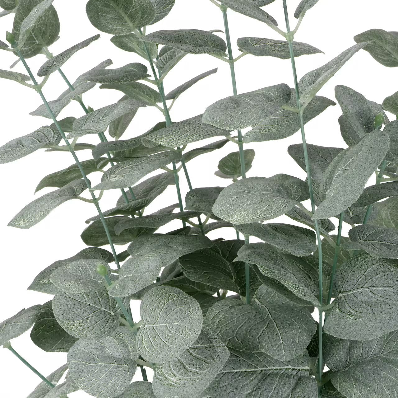 Silvery Green Eucalyptus Spray | 26"