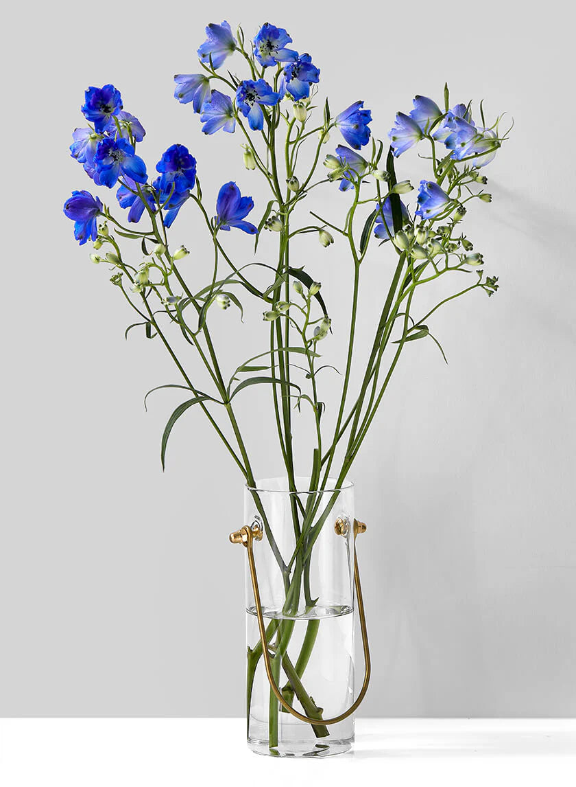 Anya Gold Handle Glass Vase