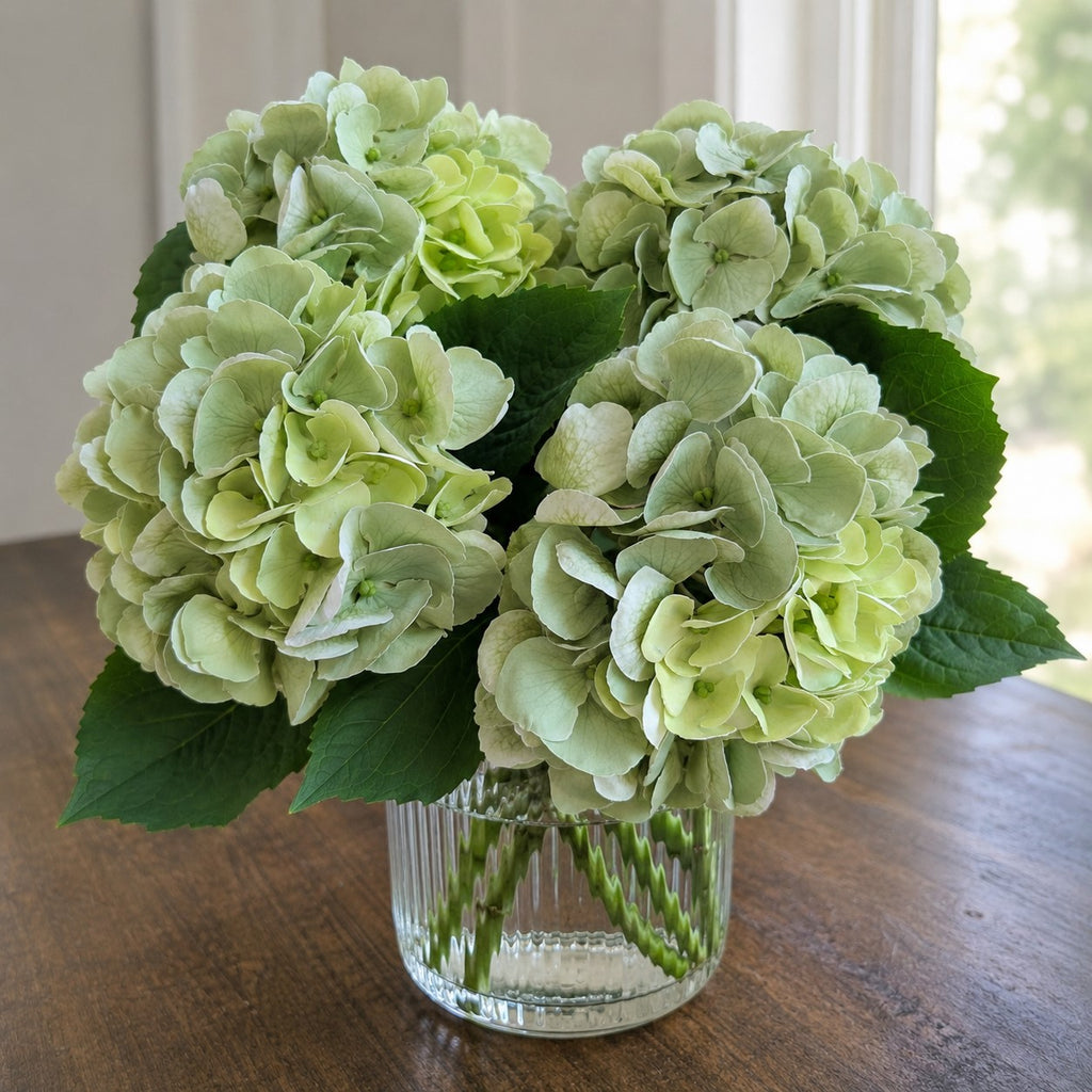 Bouquet of light green hydrangeas in a clear vase on a wooden surface.