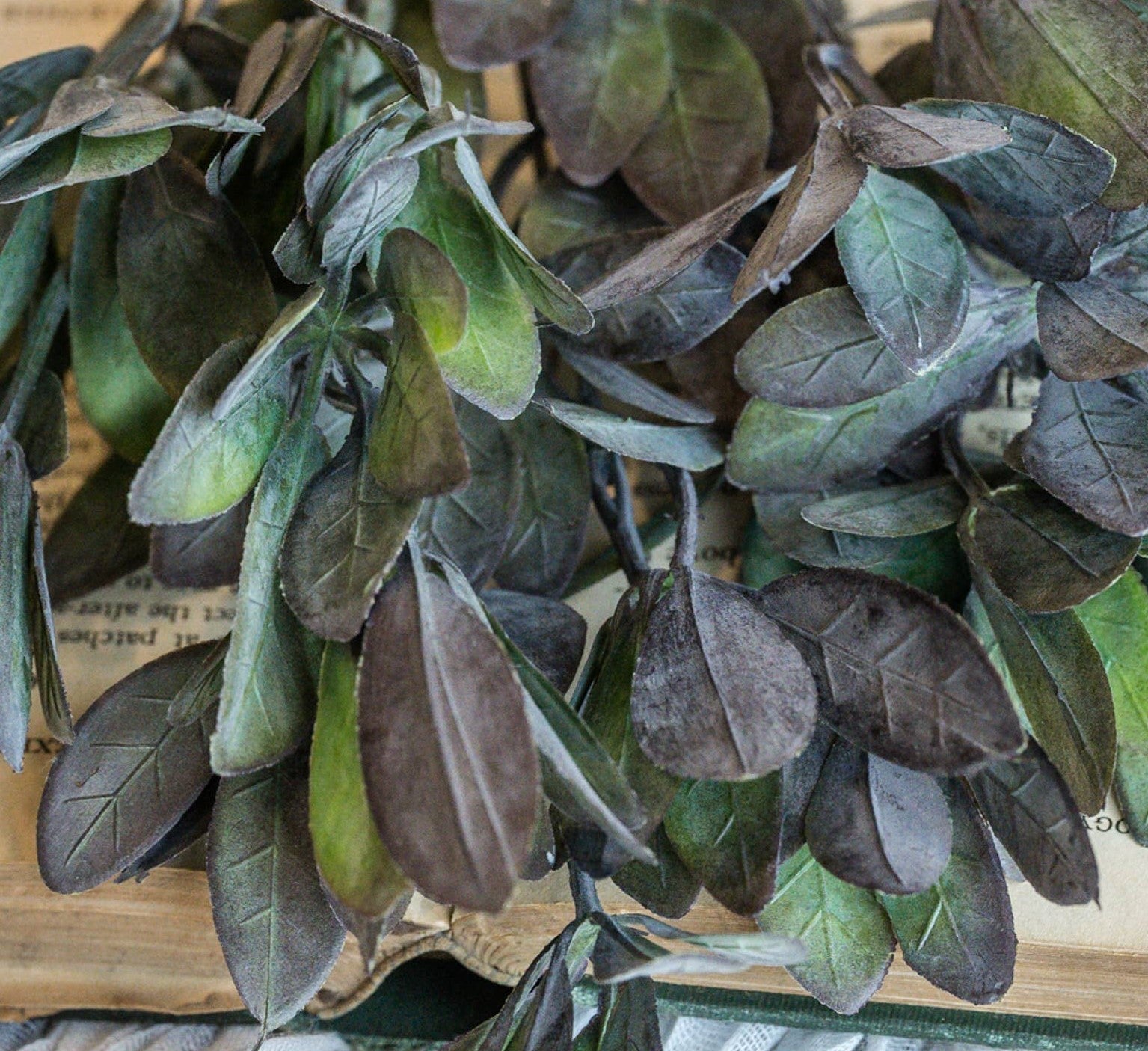 Plum-Tipped Leaf Bush | 13"